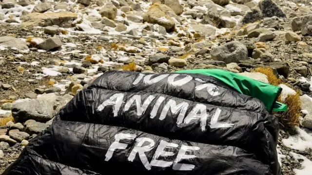 Tecido diz "100% animal free" (livreubet freebetmaterial animal)