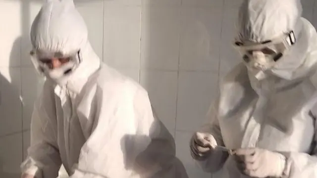 Коронавирус