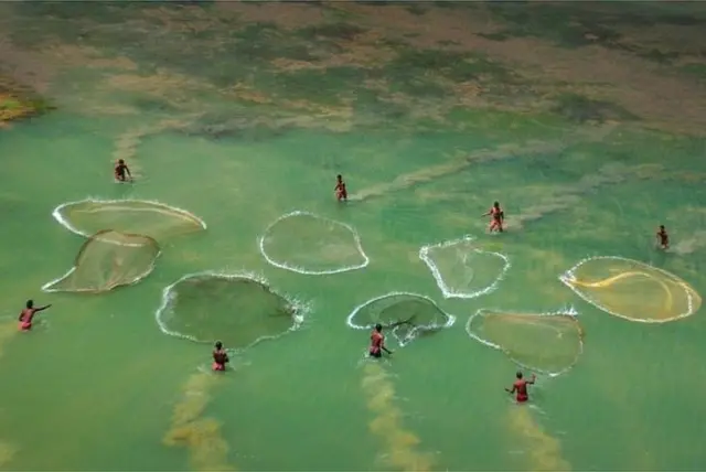 मछलियों को पकड़ने के लिए जाल बिछाने की तस्वीर