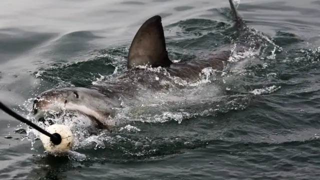 বাংলাদেশ