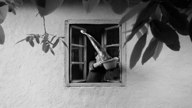 Foto: Boško Đorđević