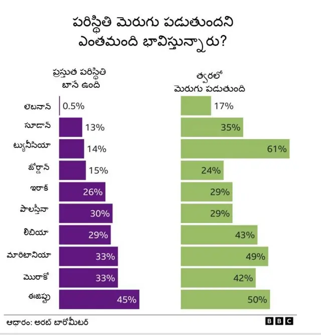 అరబ్ దేశాలు