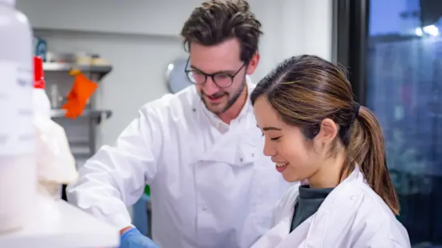 బెటర్ డైరీ