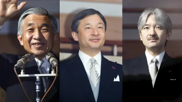 ชมนาดมีโอกาสเข้าเฝ้า สมเด็จพระจักรพรรดิอากิฮิโตะ (ซ้าย), มกุฎราชกุมารนารุฮิโตะ (กลาง), เจ้าชายอากิชิโนะ (ขวา)