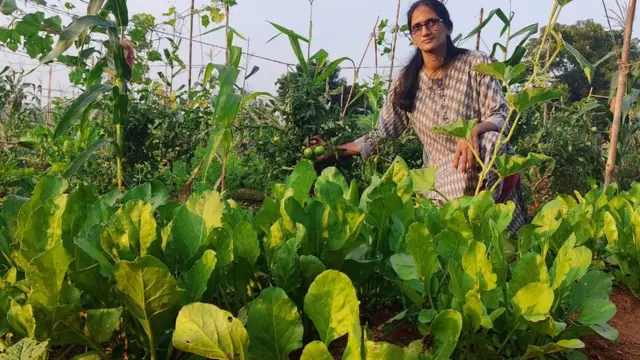 అర్బన్ ఎకో ఫార్మింగ్