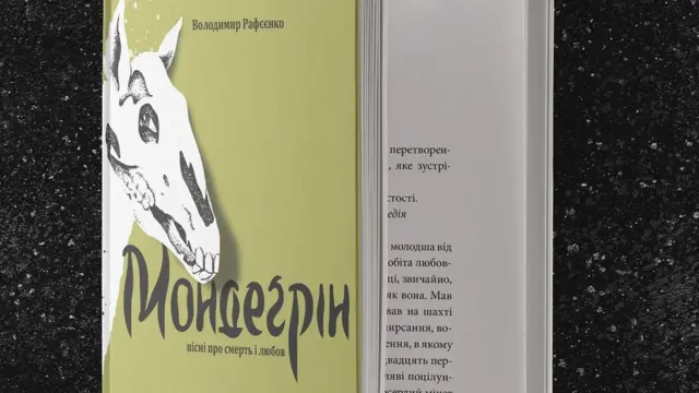 Палітурка