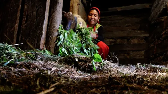 বিমলা দেবী।