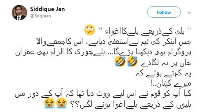 بلی