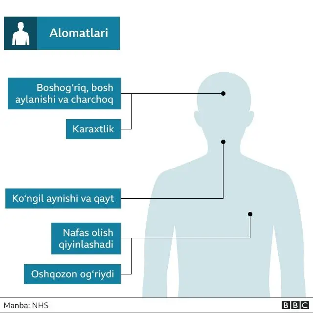 Infografika