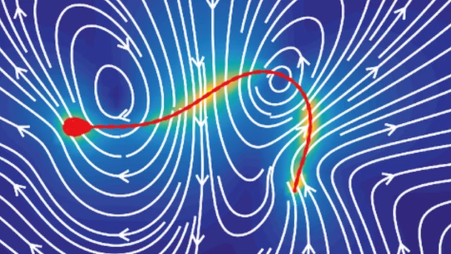 تتوقف رحلة الحيوانات المنوية على معادلة رياضية بسيطة