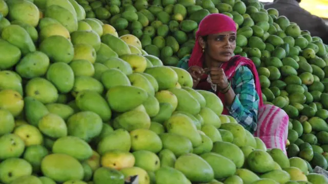 કેસર કેરીની તસવીર