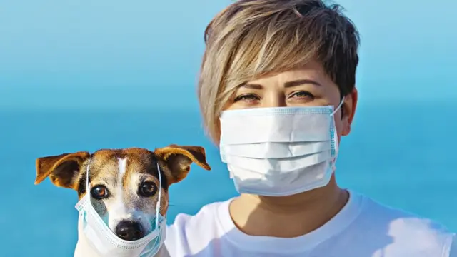 கொரோனா வைரஸ்: 3890 மரணங்கள், அவசர நிலை, தனிமைப்படுத்திக் கொண்ட பிரதமர் - 10 தகவல்கள்