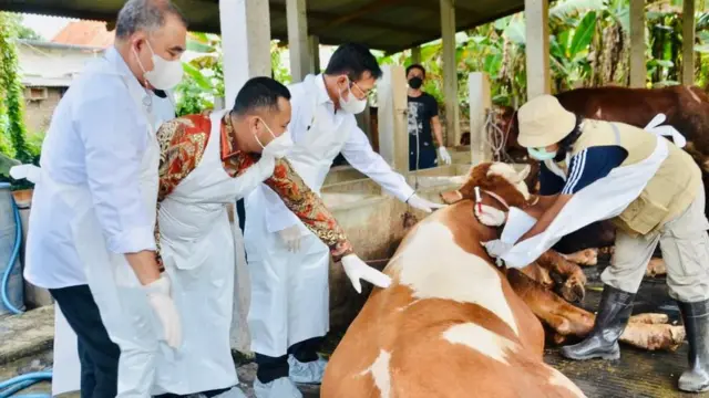 Menteri Pertanian Syahrul Yasin Limpo (ketiga dari kiri) memeriksa peternakan sapi.
