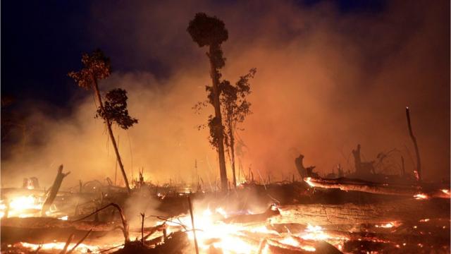 Incêndiosport bet pré apostaRondônia