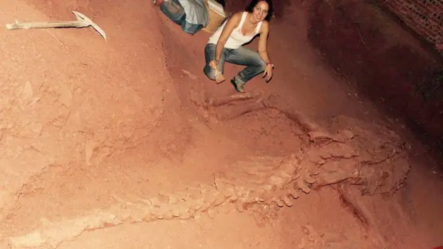 The dinosaur had a long tail