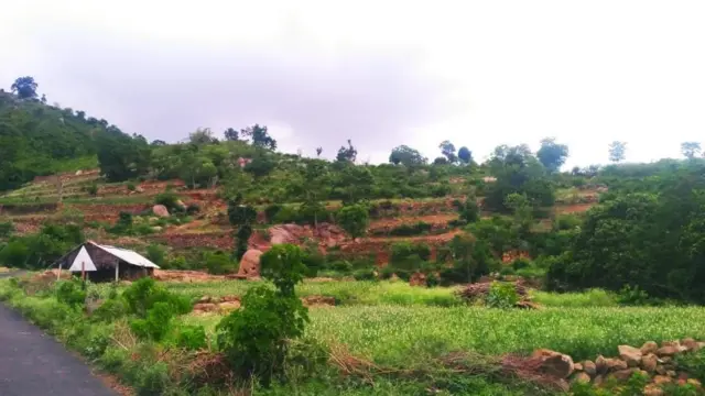 போலி செய்தி உருவாக்கிய மரணபயம்: இளைஞர்களின் உண்மை கதை