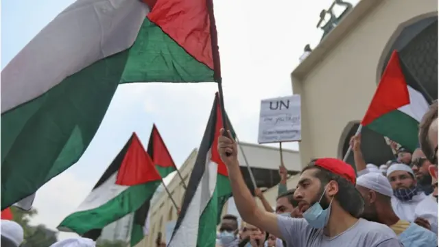 বিক্ষোভে কয়েকজন ফিলিস্তিনি নাগরিক অংশ নেন।