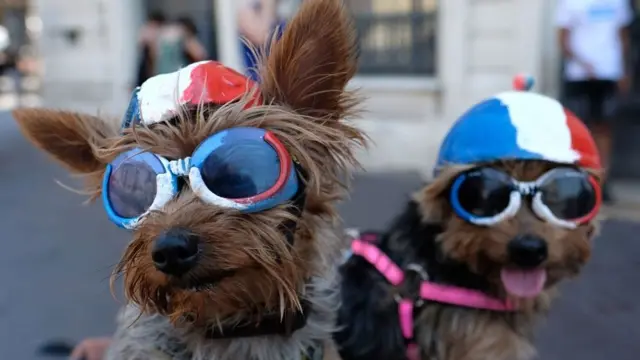 ਵਿਸ਼ਵ ਕੱਪ