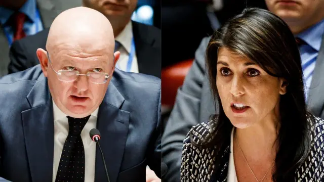 वसिली नेबेन्ज़िया, निकी हेली