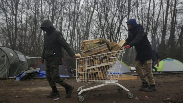 Deux jeunes hommes poussent un chariot de supermarché rempli de bois de chauffage dans un camp de Calais