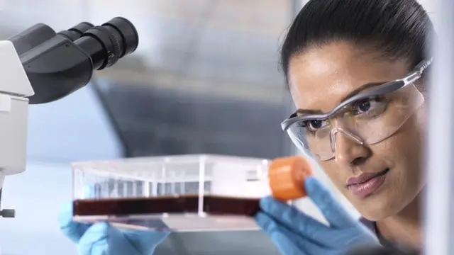 மண் பரிசோதனை