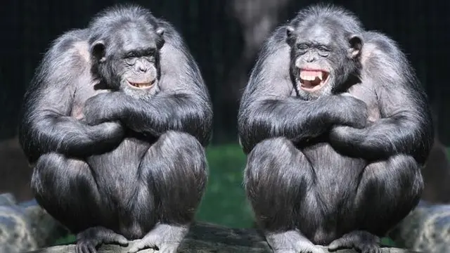 Boshning orqasida qollar jinsiy aloqa Juda sochli ayol video