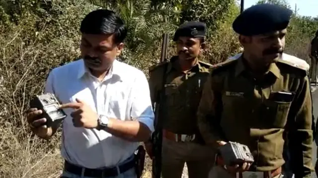 જંગલમાં તપાસ કરતા અધિકારીઓ
