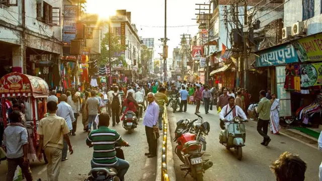الهند تسمح ببيع نبات مخدر "مقدس"