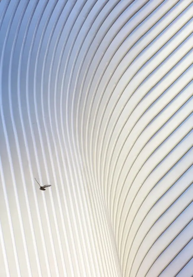 Hufton and Crow Photography