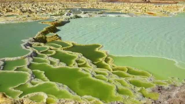 كوكب المريخ