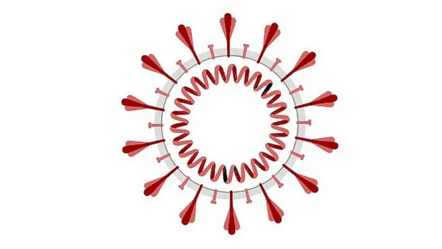 కోవిడ్-19