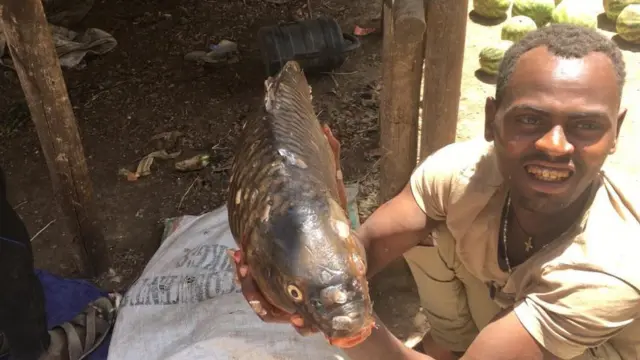 Dargaggoo haroo Qooqaa keessaa qurxumii qabee gurguru