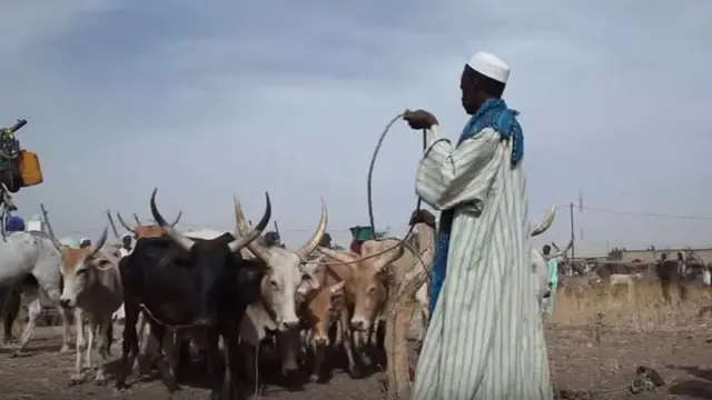 Daral Technologies; Amadou Sow; Afrique Avenir; Rémy Nsabimana, BBC Afrique; jeunes entrepreneurs africains