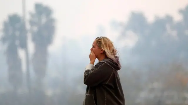 ਕੈਲੀਫੋਰਨੀਆ ਜੰਗਲ ਦੀ ਅੱਗ