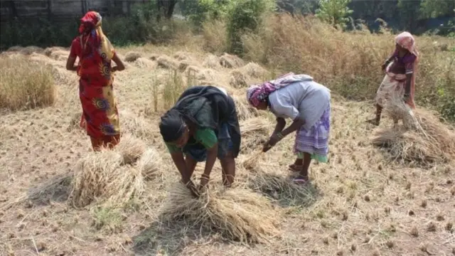 किसान आंदोलन