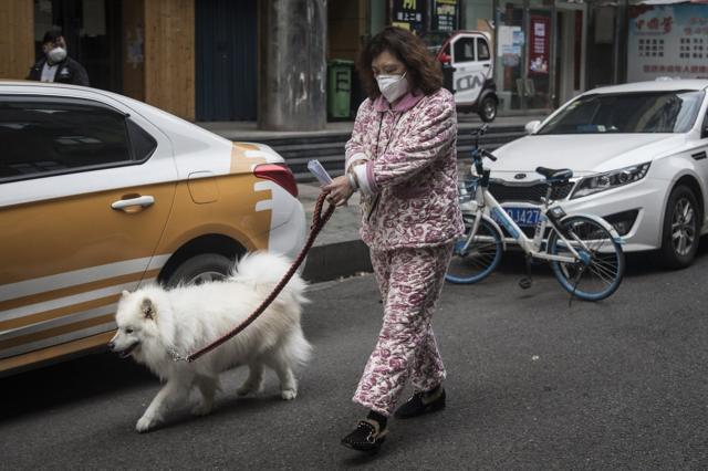 一名武漢市民在遛狗。