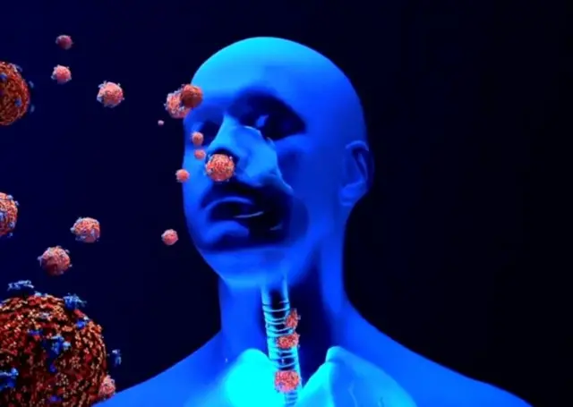 బ్లాక్ ఫంగస్