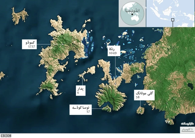 ڈریگن جزیرہ