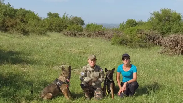 Arven, Pintar, Glavaš