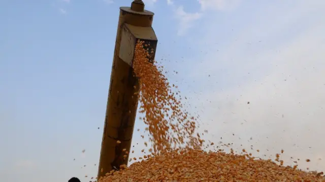 کسان، پاکستان