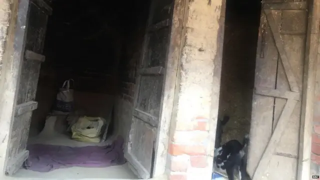 ਬਹਿਰੀਚ, ਬਲਾਤਕਾਰ, ਡੀਐਨਏ