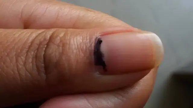 निर्वाचन