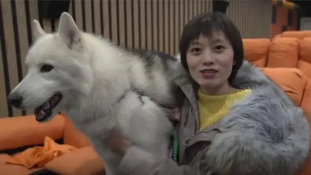 কুকুর, চীন