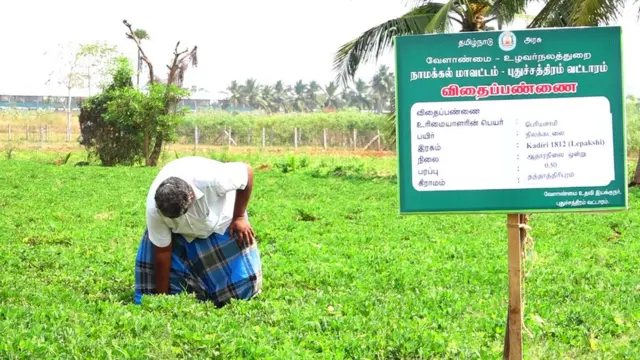 விதைப்பண்ணை