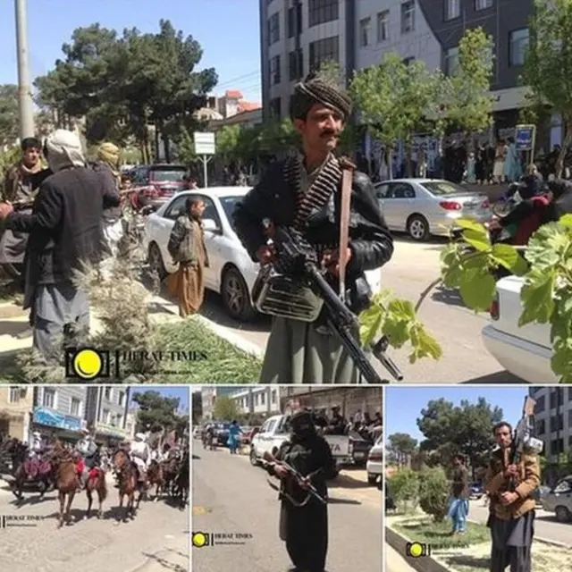 علی زایی