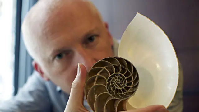 Marcus du Sautoy mostrando la estructura interna de un caracol