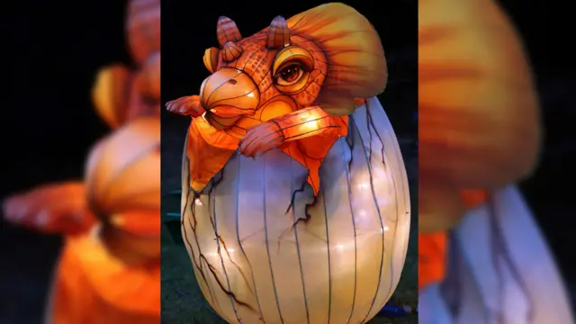 彩灯会在奥克兰市最古老的公园 Auckland Domain 举行