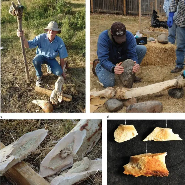 Experimentos en San Diego