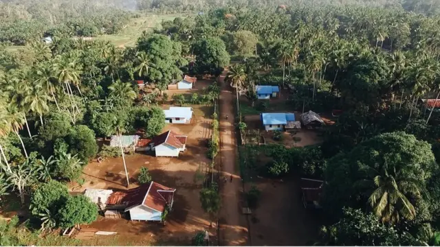 Papua, pembakaran hutan, perkebunan sawit, Kampung Nakias