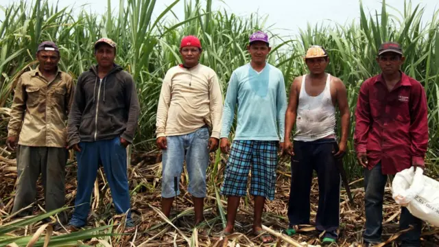 Trabajadores de la caña en Nicaragua